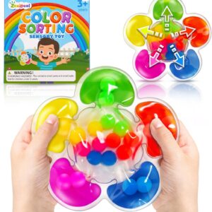 Color Sorting Toys Sensory Toys, Fine Motor Skills Game for Toddlers, Color Matching Toy Preschool Learning Activities Educational Calm Down Montessori Toy for Kids Boys Girls Ages 1 2 3 As Gifts