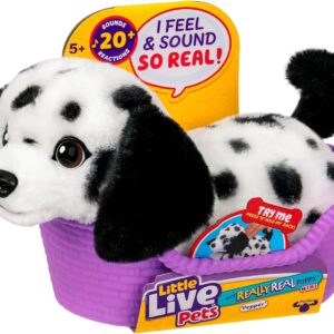 Little Live Pets My Really Real Puppy Mini Pepper The Dalmatian, Interactive Plush Toy with Basket, 20+ Sounds and Reactions, Puppy Toys for Kids