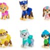 Paw Patrol, 10th Anniversary, All Paws On Deck Toy Figures Gift Pack with 10 Collectible Action Figures, Kids Toys for Ages 3 and up